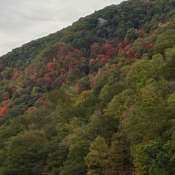 Meet your Posher, Julie - Picture 2 of 9